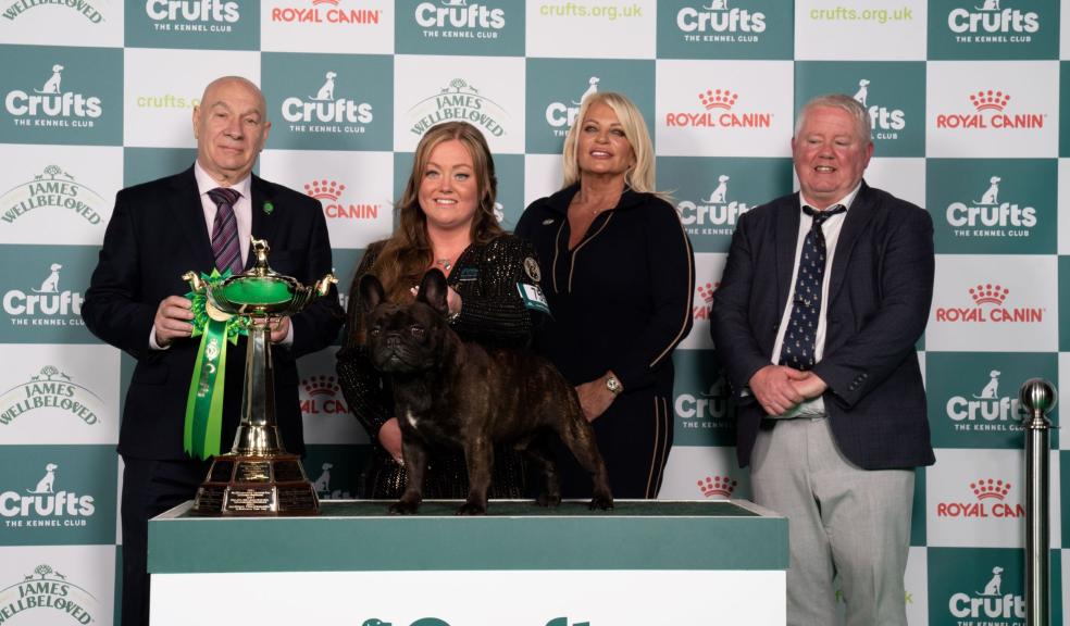 Abbie and Dean Cund with Elton, a French Bulldog - Utility Group winner