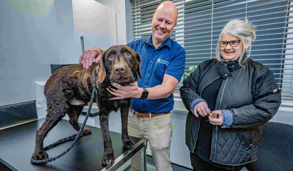 Billy with owner Debbie Antrobus and vet Charlie Sale at Oakwood Veterinary Referrals