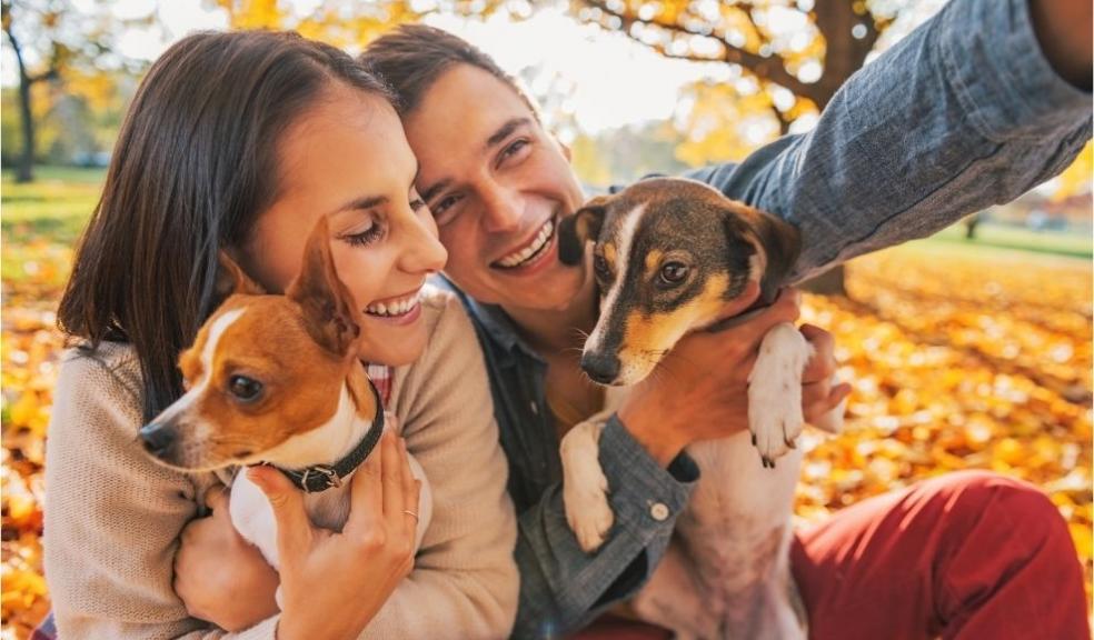 Couple with Dogs