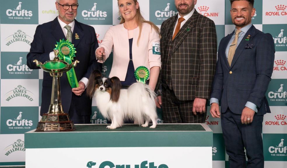 Crufts Best in Group Toy