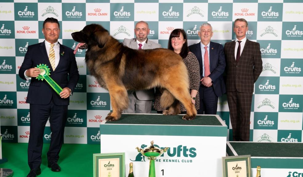 Crufts Best in Group Working Neville, Lee and Kerry