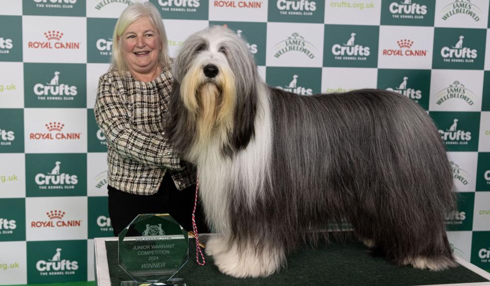 Crufts Junior Warrant winner Linda and Cash