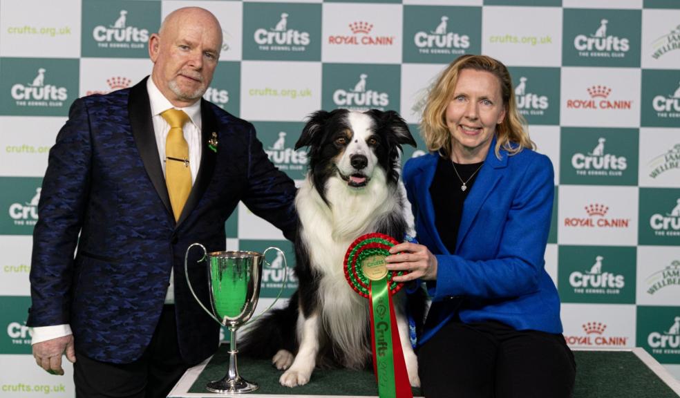 Crufts Obedience Champion Dog winner