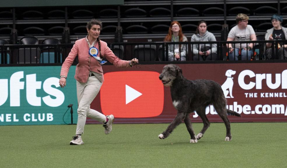 Crufts Vulnerable Breed Competition winner