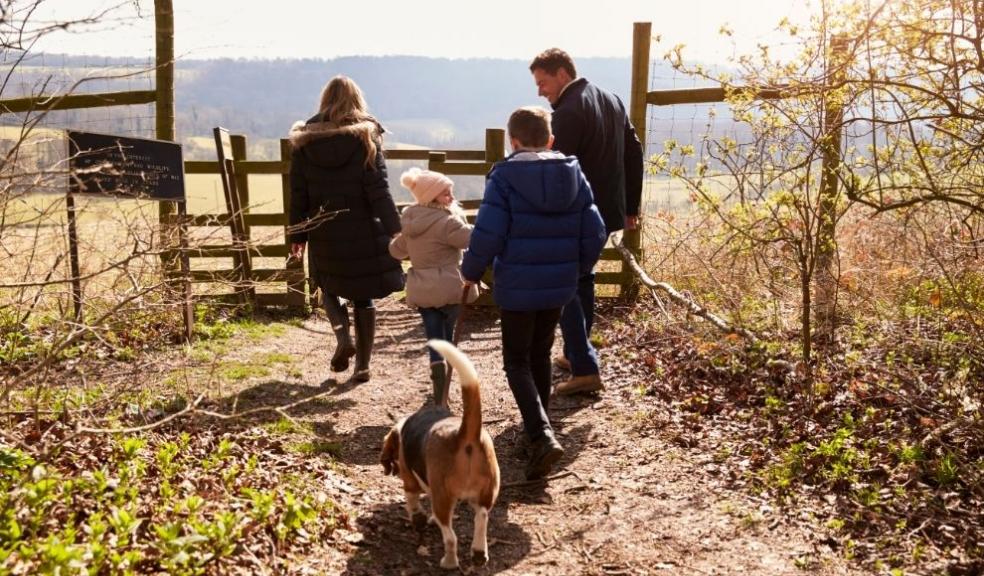 Family and Dog Walking