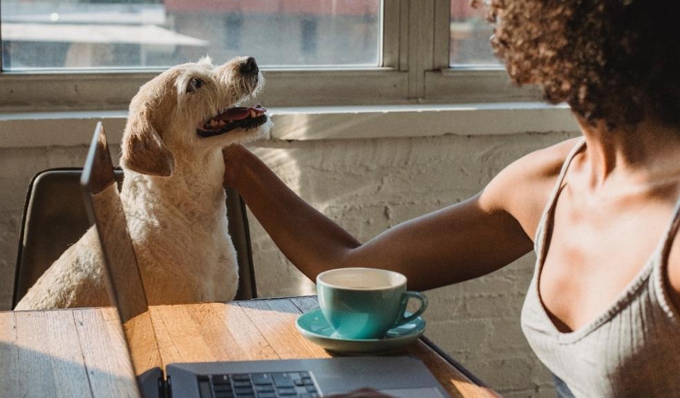 A dog and it's owner having coffee