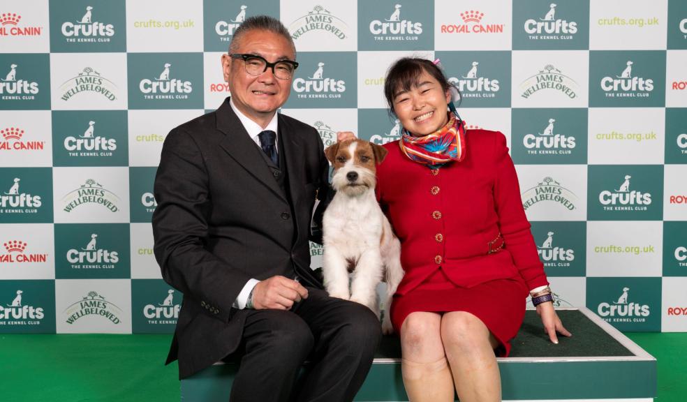 Zen, a Jack Russell Terrier, Terrier group winner at Crufts 2024, with Kao Miichi and Hiroshi Tsukuk