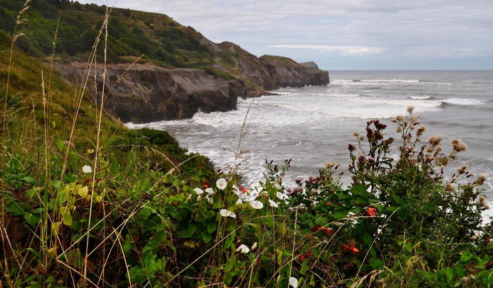 A picturesque coastline