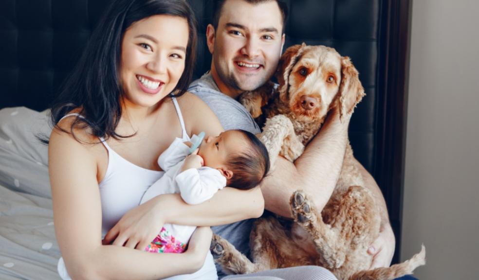 Family with a new baby and a dog