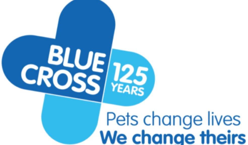 Blue Cross logo