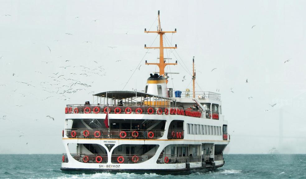 White Ship Traveling Through Vast Body of Water With White Birds Flying Beside