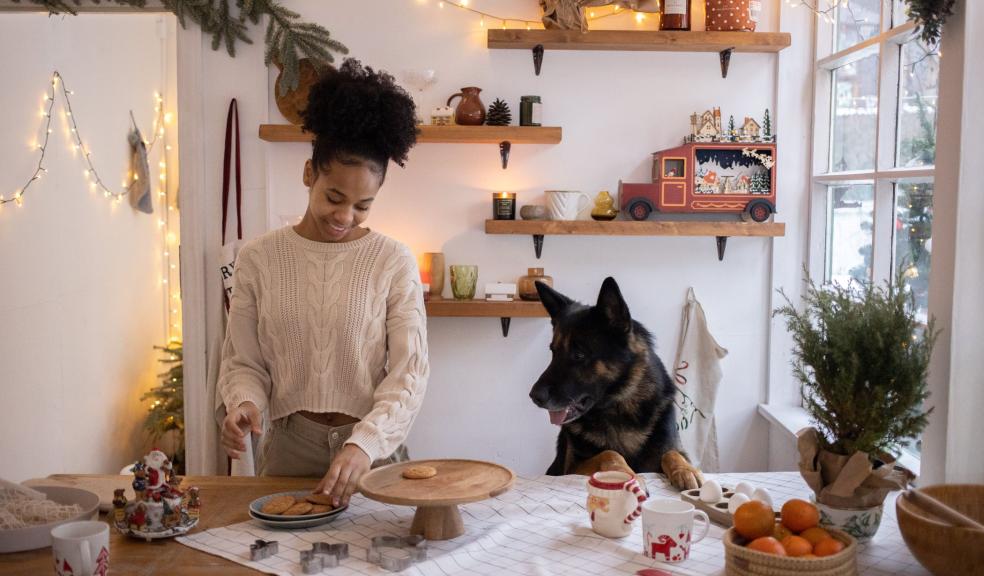 Woman Putting Christmas Cookies on a Tray and Her Dog Watching Her