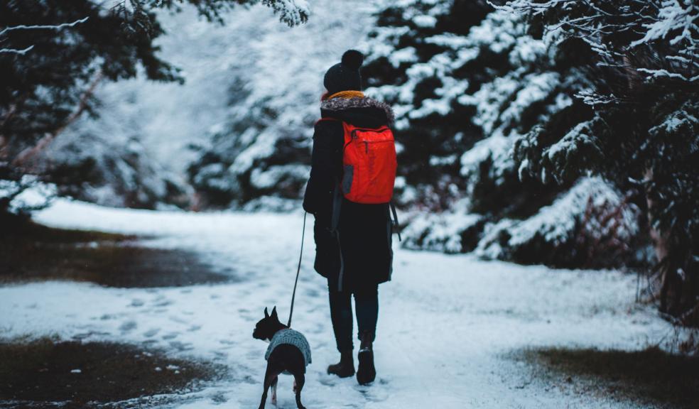 Man in Black Jacket and Black Pants Standing on Snow Covered Ground With Black and White Dog