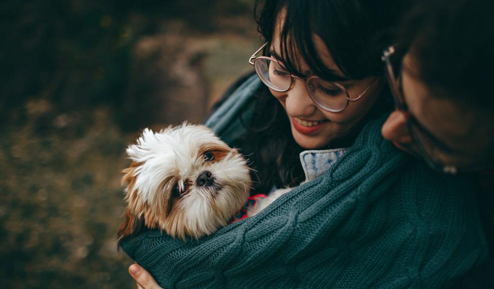 Selective Focus Photography of White and Tan Shih Tzu Puppy Carrying by Smiling Woman