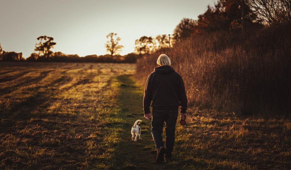 Person Walking With Puppy Near Trees