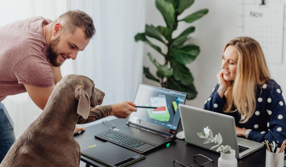 Woman and a Man Presenting Image on a Laptop Screen to a Dog