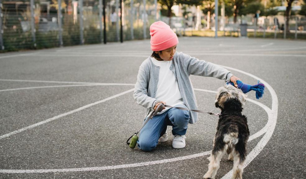 A child and a dog playing together