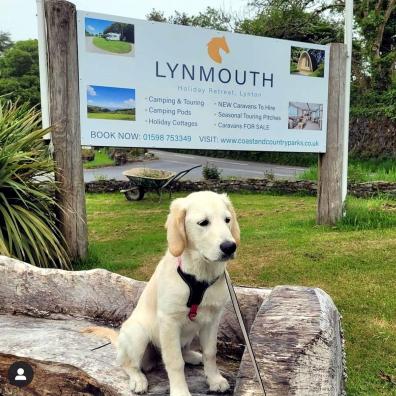 Devon is heaven for dogs staying at Lynmouth Holiday Retreat, voted the UK's most perfect park for p