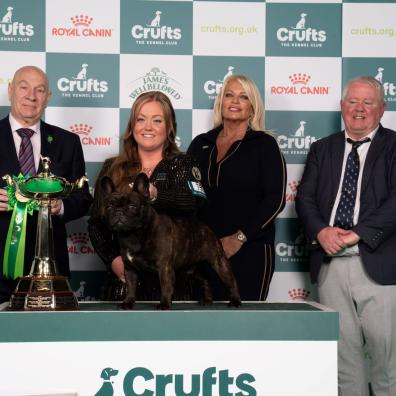 Abbie and Dean Cund with Elton, a French Bulldog - Utility Group winner