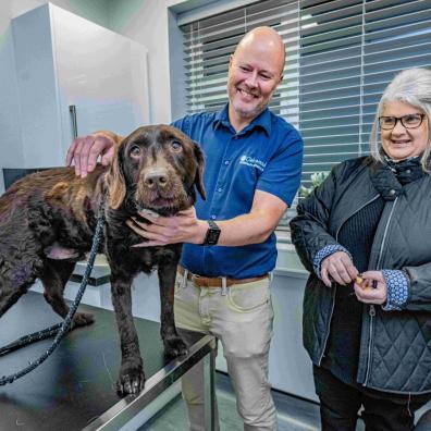 Billy with owner Debbie Antrobus and vet Charlie Sale at Oakwood Veterinary Referrals