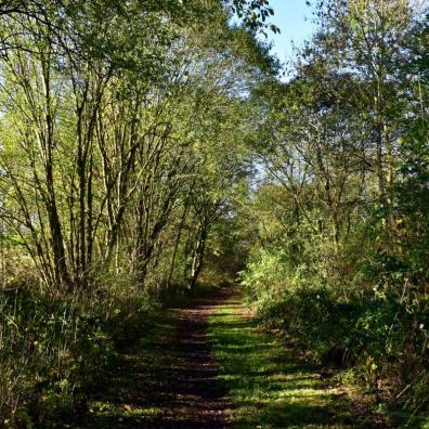 Cleeve Hill and Nottingham Hill circuit