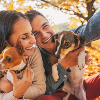 Couple with Dogs