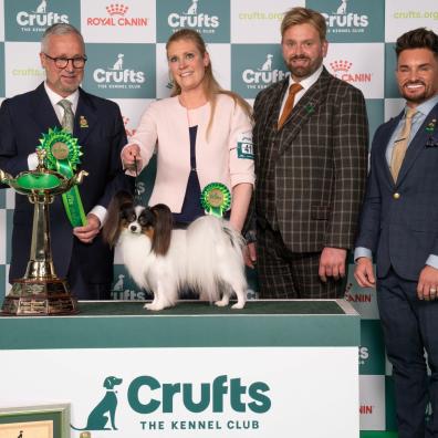 Crufts Best in Group Toy