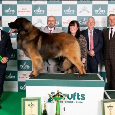 Crufts Best in Group Working Neville, Lee and Kerry