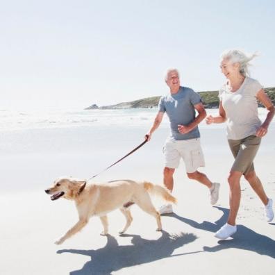 Dog on Beach 