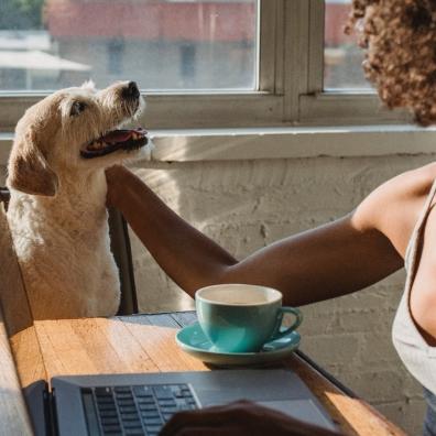 A dog and it's owner having coffee