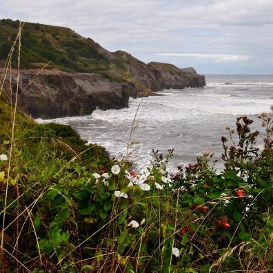 A picturesque coastline