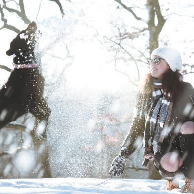 Dog in the snow