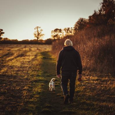 Person Walking With Puppy Near Trees