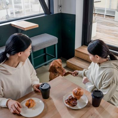 Mother and Daughter Sitting at the Table Having Breakfast Beside a Dog